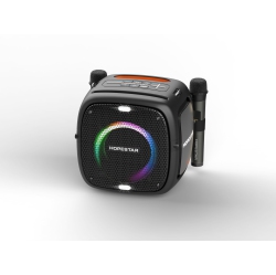 WORRYFREE GADGETS Portable 80W Waterproof Bluetooth Speaker, 12500Mah Tws Led Lights With Two Microphones In Black