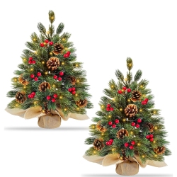 NIERBO 2 Pack 20 Inch Realistic-Feel Pe Thick Tabletop Christmas Tree, Mini Christmas Tree \w Lights Timer Battery Operated Christmas Tree Burlap