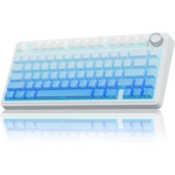 RISOPHY Wireless Mechanical Keyboard, 75% Gasket Hot Swappable Custom Keyboard, RGB Backlit, Pre-Lubed Linear Switches, Side Printed Pbt Keycaps