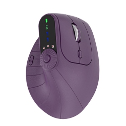 RISOPHY Ergonomic Vertical Mouse, Wireless Optical Bluetooth Mouse - Dual Mode Connectivity Bt5.0+Bt5.0+2.4Ghz Up to 3 Devices, Adjustable Dpi & 8