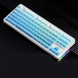 RISOKEYS Mechanical Keyboard Tri-Mode Wireless Keyboard Hot Swap 2.4G Bluetooth Customized Gamer Keyboard PC Gaming Laptop