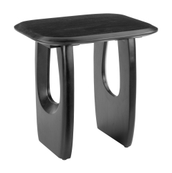 RUG BRANCH Arasan Accent Table In Black