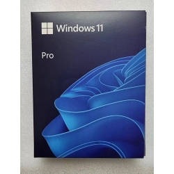 MICROSOFT Windows 11 Professional 64-Bit USB Flash Drive