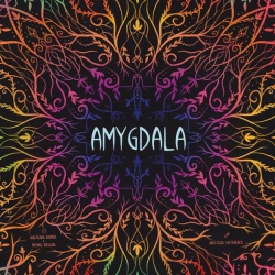 GAME BREWER Amygdala - Resource Collecting Game By - Games for Game Night - 2 to 4 Players