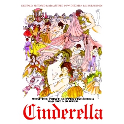 WIZARD Cinderella - DVD