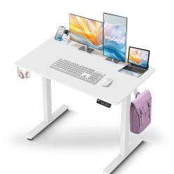 IMGADGETS Standing Electric Adjustable Desk | 40" X 24" Large Workspace \w 2 Hooks | Ergonomic Sit-Stand Desk | 3-Memory Settings | Height