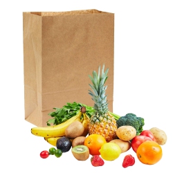 TESION 100 Kraft Paper Bags, Brown Paper Grocery Bag Bulk, Large Recyclable Paper Bag, Great for Grocery Shopping.16.5"x13"x5.9