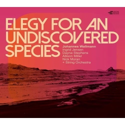 SHIFTING PARADIGM Elegy for An Undiscovered Species