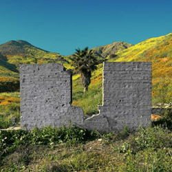 FATCAT Shopping - All Or Nothing - [Vinyl]