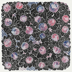 FRIENDS RECORDS Other Colors - Natural Motion - [Vinyl]