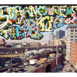 ASTHMATIC KITTY Sufjan Stevens - Bqe - (With DVD) - [CD]