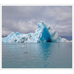 JOYFUL NOISE Surfer Blood - Snowdonia - [CD]