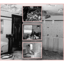 WHARF CAT Trust Punks - Double Bind - [CD]