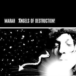 VALLEY FARM SONGS/BL Marah - Angels Of Destruction - [Vinyl]