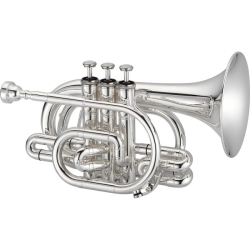 JUPITER Jtr710Sq Student Pocket Trumpet With Standard Bell - Silver-Plated
