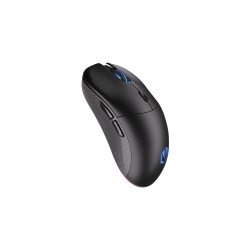 ENDORFY Gem Plus Wireless Gaming Mouse (Ey6A013) - In Black
