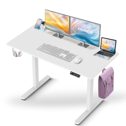 IMGADGETS Standing Electric Adjustable Desk | 47" X 24" Large Workspace \w 2 Hooks | Ergonomic Sit-Stand Desk | 3-Memory Settings | Height