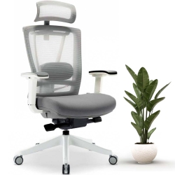 MOTIONGREY Cloudmesh Ergonomic Office Chair-Comfy High Mesh Back Support \w Adjustable Armrests -White Desk Computer Chairs Perfect for Home Gaming