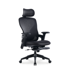 TOPJOB Fashionable Office Chair, Aura Ergonomic High Back Home Desk Chair \w Headrest And Footrest, Ergonomic High-Back Mesh Rolling Work Swivel