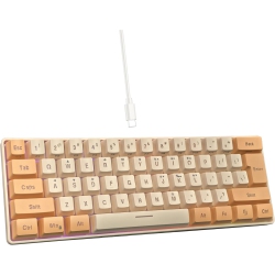 RISOKEYS 60% Wired Gaming Keyboard, RGB Backlit Ultra-Compact Mini Keyboard, Waterproof Mini Compact 61 Keys Keyboard for PC/mac Gamer, Typist, Travel