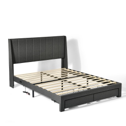 HOMY CASA Queen Size Platform Bed Frame \w 2 Storage Drawers USB Ports Upholstered Headboard, 800 Lbs Support No-Noise Easy Assembly, Wooden Slat