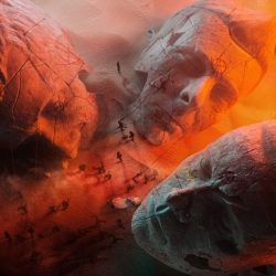 WEA Muse - Will Of The People - [Vinyl]