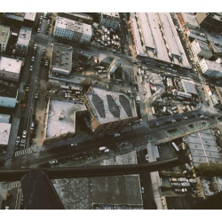 Show Me the Body - Dog Whistle - [CD]