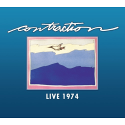 RETURN TO ANALOG Live 1974