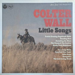 LA HONDA RECORDS/RCA Colter Wall - Little Songs - (Indie Exclusive, Colored Vinyl, Blue) - [Vinyl]