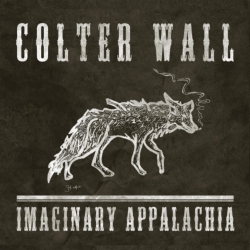 LA HONDA RECORDS/RCA Colter Wall - Imaginary Appalachia - (Colored Vinyl, Red) - [Vinyl]