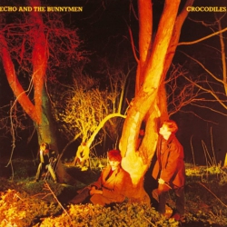 RHW Echo & The Bunnymen - Crocodiles - (Brick & Mortar Exclusive) - [Vinyl]