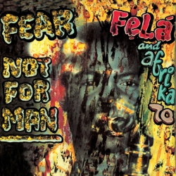 PARTISAN/VIRGIN MUSI Fear Not for Man(Lp)