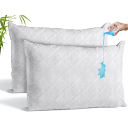 CANADIAN LINEN Bamboo Viscose Waterproof Pillow Protector Zipper Closure Flower Design 20"x30" Queen, 2 Pack Soft Absorbent Breathable Cooling Fabirc