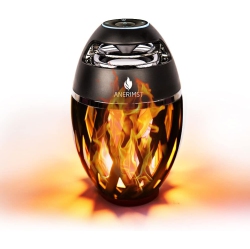 ANERIMST Outdoor Bluetooth Speaker \w Flame Led Light, 5W Stereo Sound, Waterproof & Shockproof, 18H Playtime, Wireless Pairing for Parties And