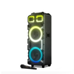 DOLPHIN Sp-3210Rbt 100W Dual 10” Portable Bluetooth Speaker With Led Party Lights And X-Bass