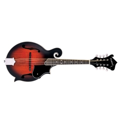 DENVER F-Style Mandolin With Gigbag - Smokey Vintage Satin