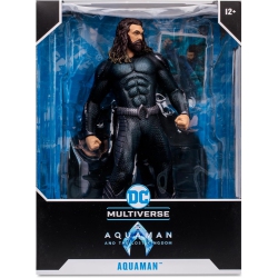 DC Multiverse Aquaman And The Lost Kingdom 12 Inch Statue Figure Pvc - Aquaman
