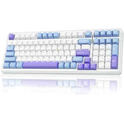 GREEN SCENIC Wireless Mechanical Keyboard, Tri-Mode Bt5.0/2.4Ghz/USB-C Hot-Swap Custom Keyboard, RGB Backlit Gaming Keyboard (Blue And White)