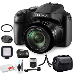 PANASONIC Lumix Dc-Fz80 Digital Camera (Dc-Fz80Dk) Base Bundle