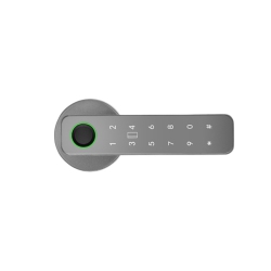 MAXXUS Electronic Smart Home Door Lock, Wireless Biometric Fingerprint Room (Double Lock) In Silver