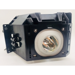 SAMSUNG Lamp & Housing for Hlr5087W Tvs - Neolux Bulb Inside - 90 Day Warranty