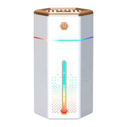 GREEN SCENIC Portable Warm Mist Dehumidifier for Bedroom, Provides Moisture And Comfortable Air, Easy to Use And Maintain (White)