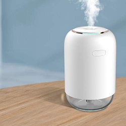 GREEN SCENIC Mini Humidifier; Portable Small Cool Mist Humidifier; Super Beautiful USB Desktop With Night Light for Bedroom - In White