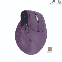 GREEN SCENIC Wireless Bluetooth Multi-Function Vertical Office Mouse Ergonomically Silent Rechargeable Compatible \w PC Notebook Tablets, Etc.