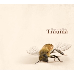 DISCO GECKO RECORDIN Banco De Gaia - Trauma - [CD]