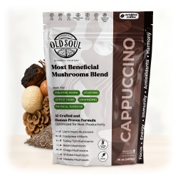 OLDSOUL Os-Mcp02 Mushroom Cappuccino Blend | 7-Mushroom Formula | Arabica Coffee | Energy, Focus, Immunity | 14 OZ (400 G)