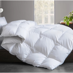 BOLDDECO Luxurious Hotel Bedding Comforter Filled With Feather & Down - All Season Duvet Insert Available Size King, Queen In White