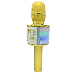 GREEN SCENIC Wireless Microphone Speaker Integrated Microphone Karaoke Speaker All-In-One Outdoor Karaoke Speaker Microphone -Gold - Lanterns