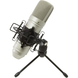 TASCAM Tm-80 Studio Condenser Microphone