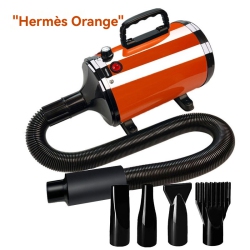 GREEN SCENIC Professional Pet Hair Dryer/pet Dryer - Stepless Speed Regulation, 4 Nozzles, Super Quiet, Safe for Pet Grooming/car Wash (Red)